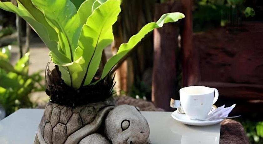 Tanisa Resort Chumphon Esterno foto